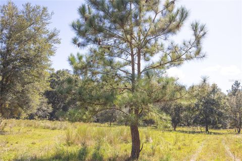 Tiny photo for Tbd Cr 673, Webster, FL 33597 (MLS # G5103879)