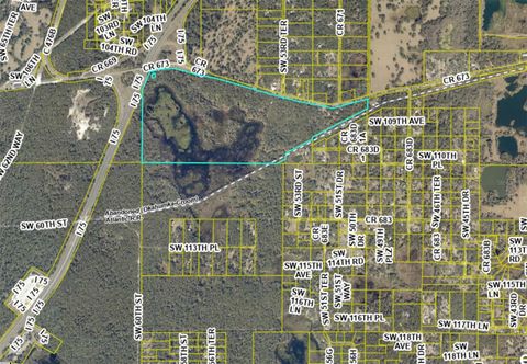 Tiny photo for Tbd Cr 673, Webster, FL 33597 (MLS # G5103879)
