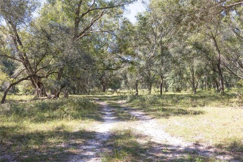 Tiny photo for Tbd Cr 673, Webster, FL 33597 (MLS # G5103879)