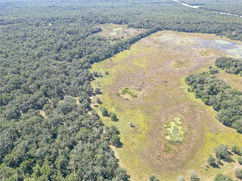 Tiny photo for Tbd Cr 673, Webster, FL 33597 (MLS # G5103879)