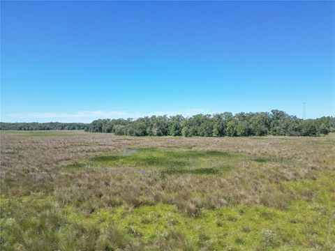 Tiny photo for Tbd Cr 673, Webster, FL 33597 (MLS # G5103879)