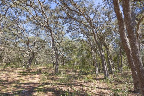 Tiny photo for Tbd Cr 673, Webster, FL 33597 (MLS # G5103879)