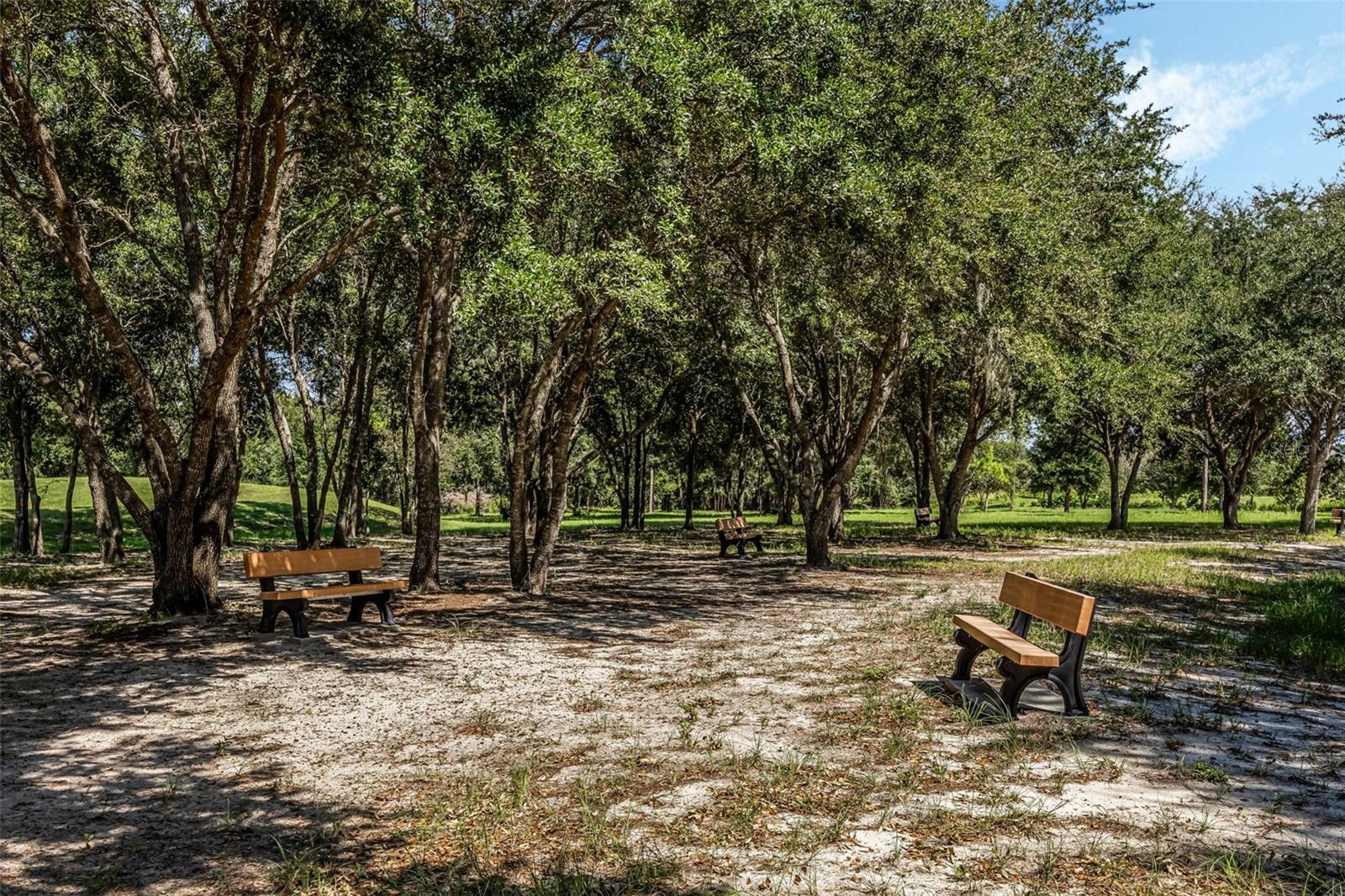 CYPRESS OAKS PH III A REP - Residential