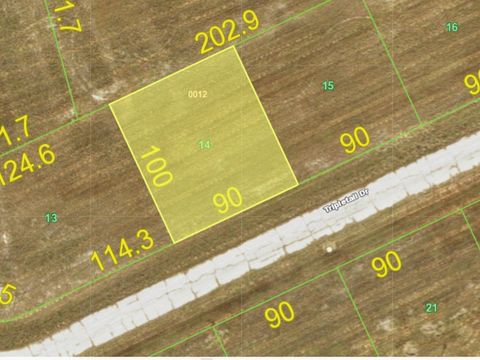 12394 TRIPLETAIL DRIVE PLACIDA FL 33946