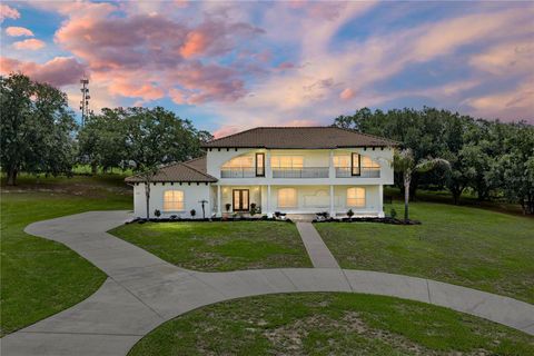 Photo of 37624 Sky Ridge Circle, Dade City, FL 33525 (MLS # TB8514797)