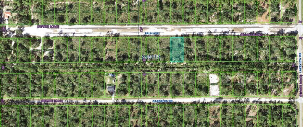 Photo of 1019 Palm Avenue, Indian Lake Estates, FL 33855 (MLS # O6312944)