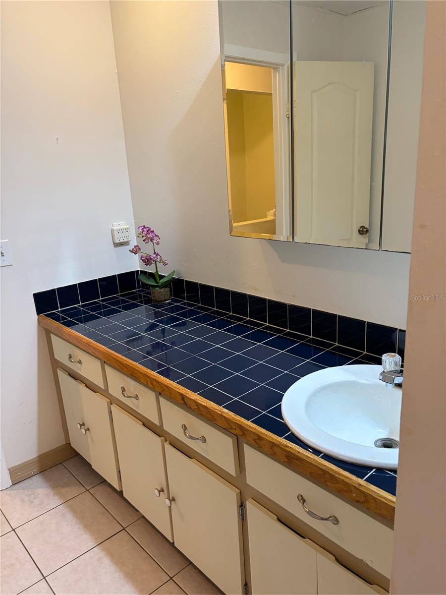 CARROLLWOOD PINES - Residential