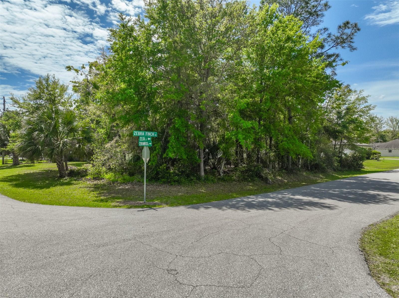 PALM COAST SEC 63 - Land