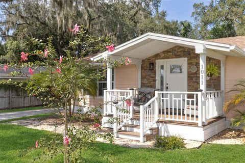 1011 LIBERTY AVENUE MOUNT DORA FL 32757