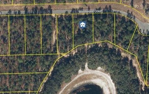 115 WESTWOOD COURT INTERLACHEN FL 32148