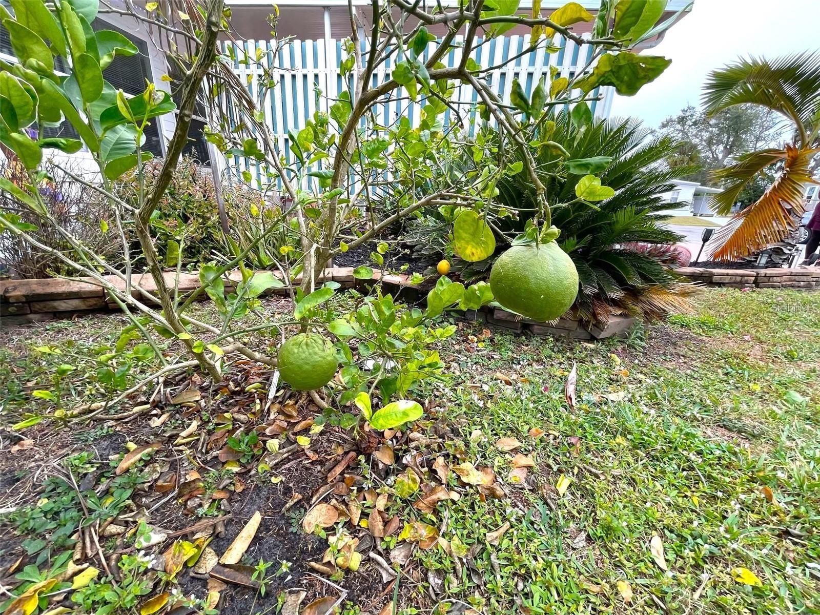 HOLIDAY PARK - Residential