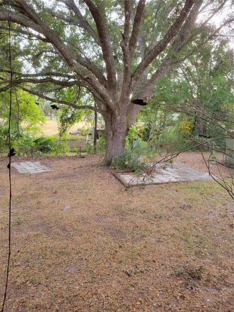 A home in OCKLAWAHA