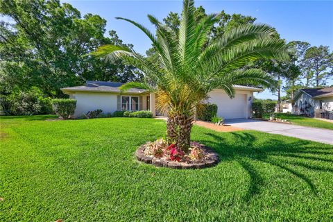 2875 LOMOND DRIVE PALM HARBOR FL 34684