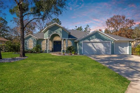 A home in HOMOSASSA