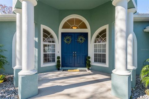 A home in HOMOSASSA