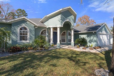 A home in HOMOSASSA