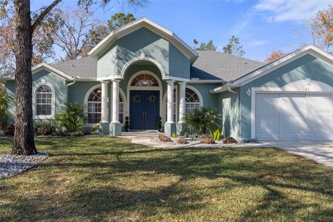 A home in HOMOSASSA