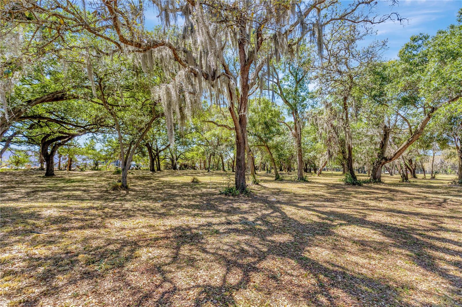 BETTY JEAN HEIGHTS - Land