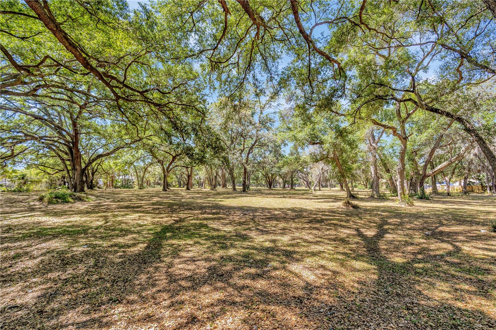 BETTY JEAN HEIGHTS - Land