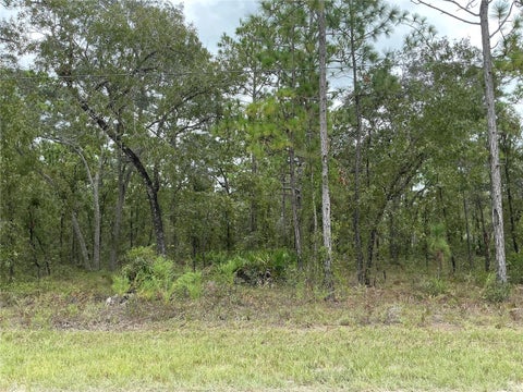 Photo of 16118 Marsh Quail Road, Weeki Wachee, FL 34614 (MLS # OM734473)