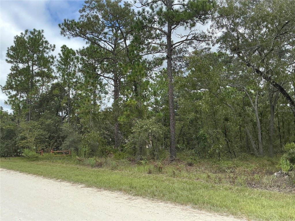 Photo of 16118 Marsh Quail Road, Weeki Wachee, FL 34614 (MLS # OM734473)