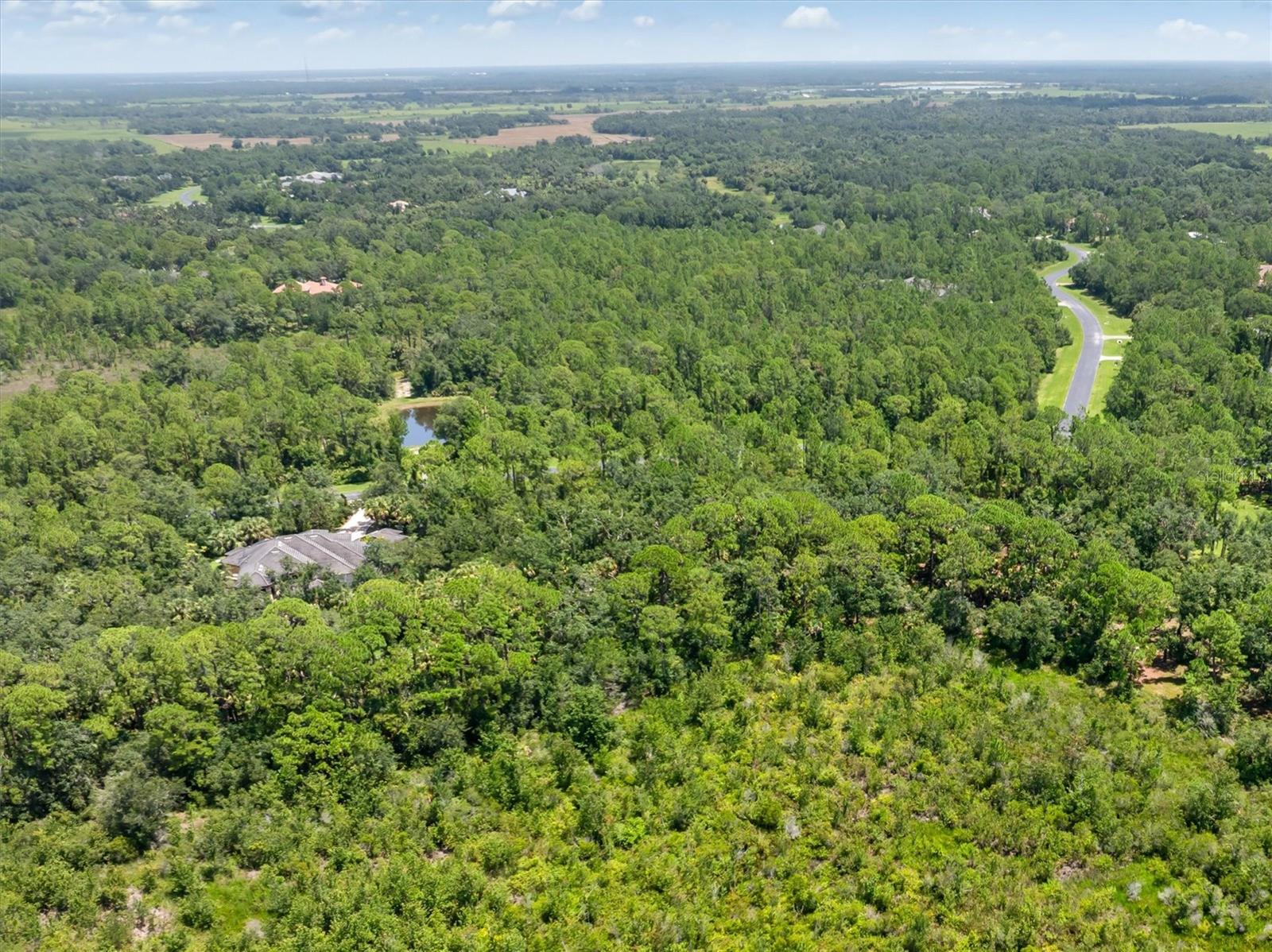 FOREST AT THE HI HAT RANCH - Land