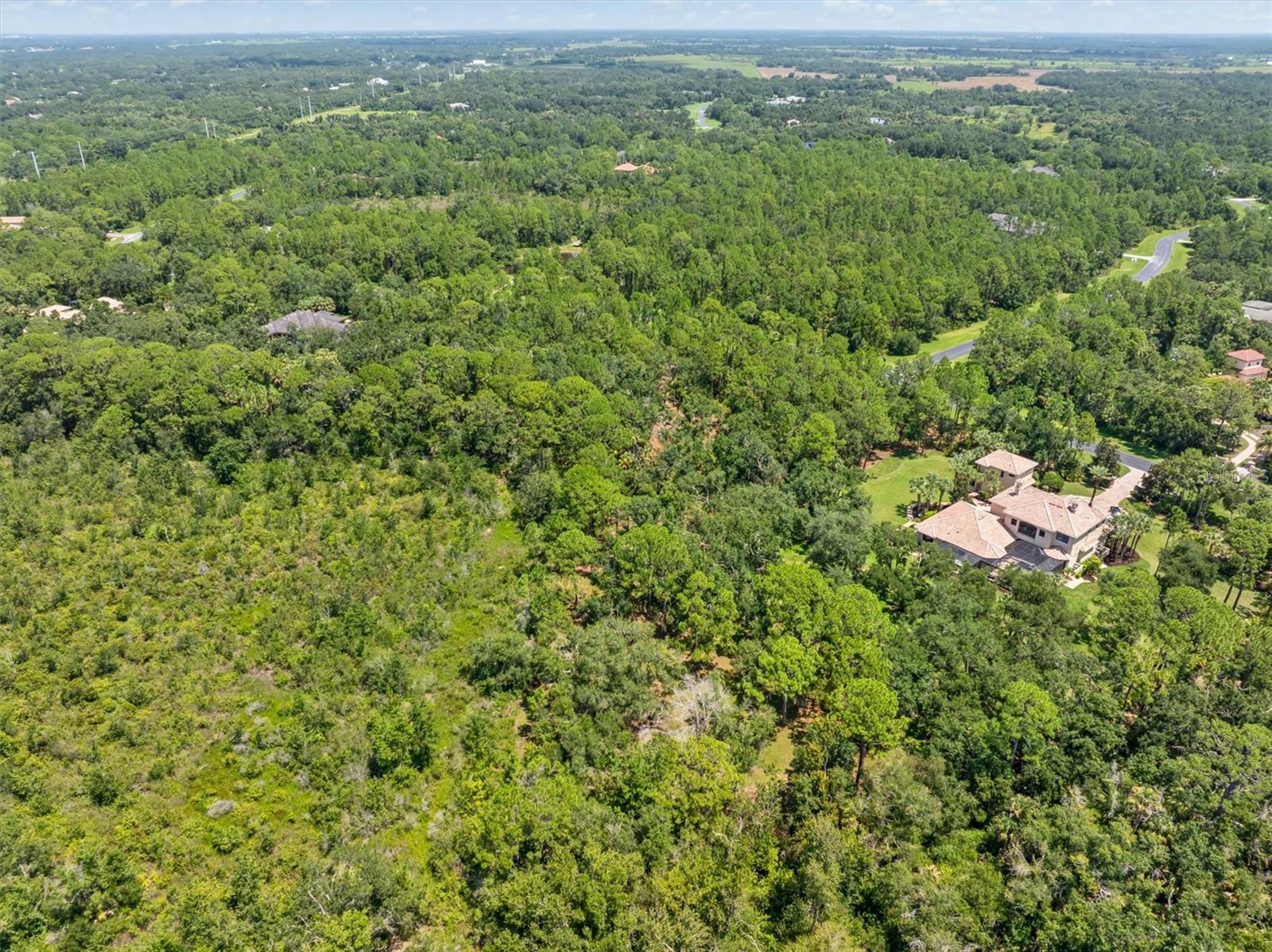 FOREST AT THE HI HAT RANCH - Land