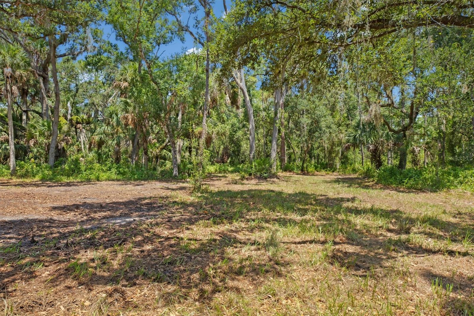 FOREST AT THE HI HAT RANCH - Land