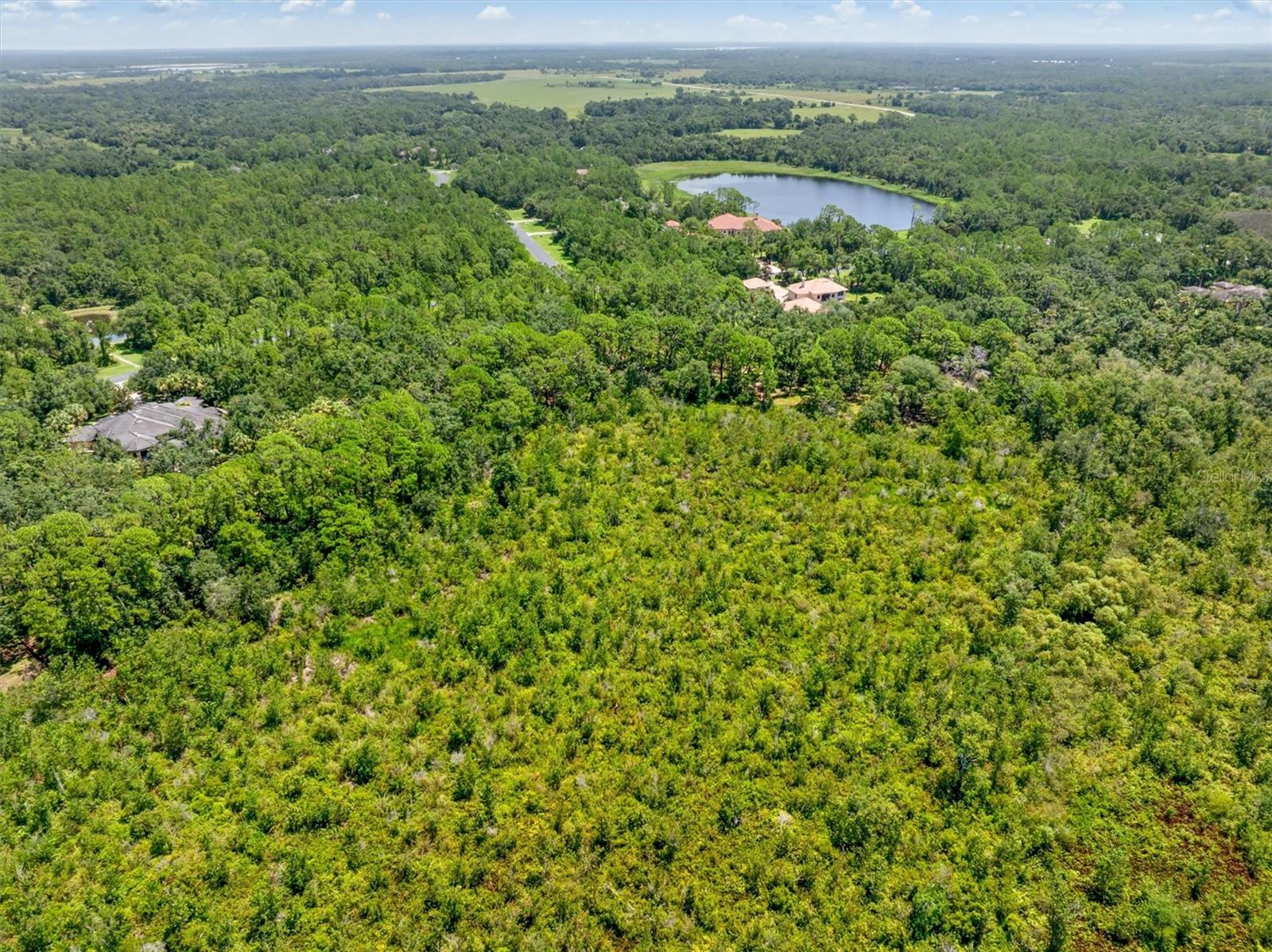 FOREST AT THE HI HAT RANCH - Land
