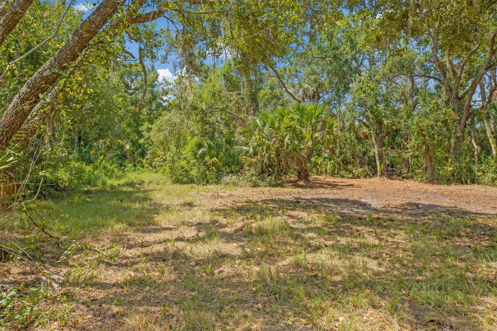FOREST AT THE HI HAT RANCH - Land