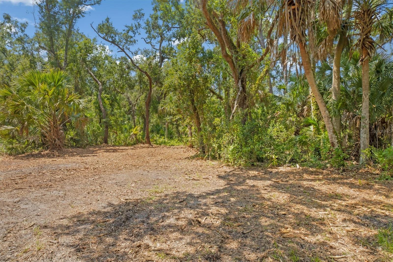 FOREST AT THE HI HAT RANCH - Land