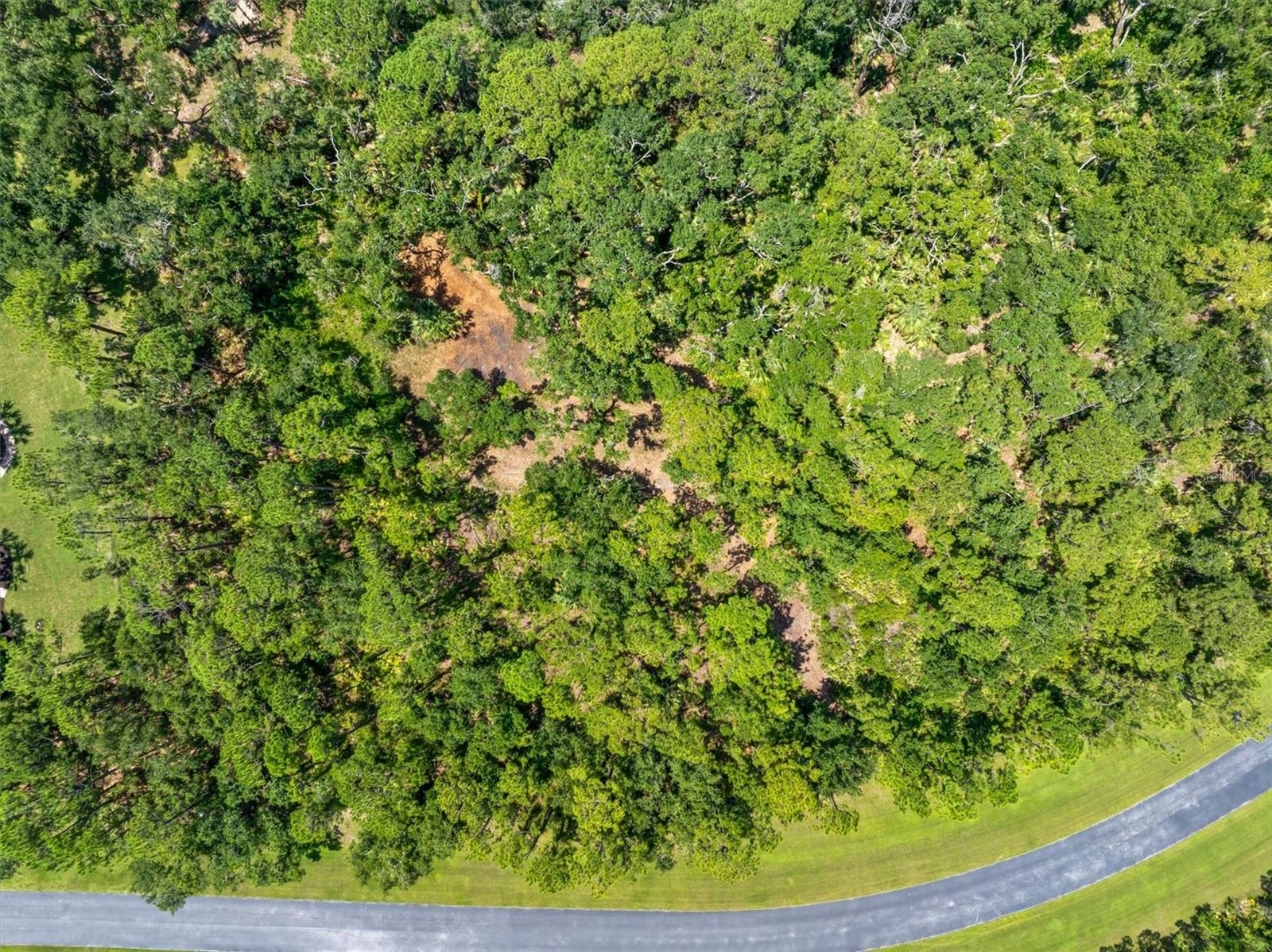 FOREST AT THE HI HAT RANCH - Land