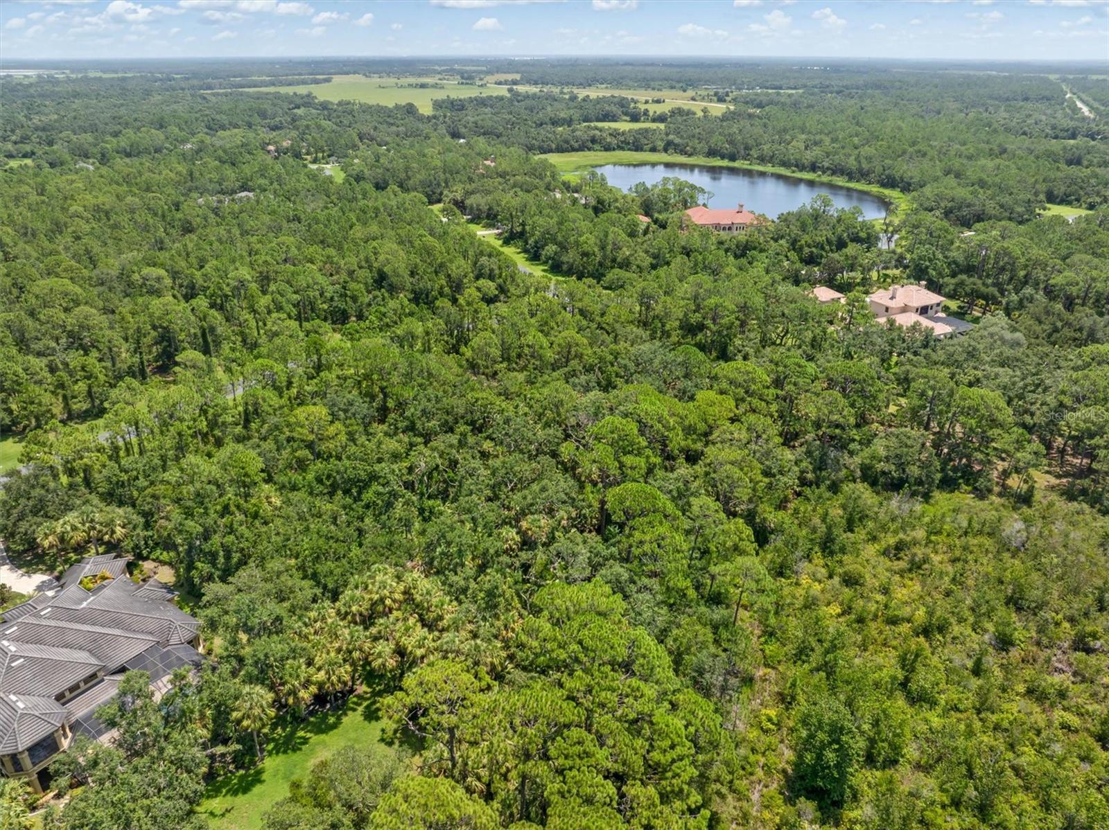 FOREST AT THE HI HAT RANCH - Land