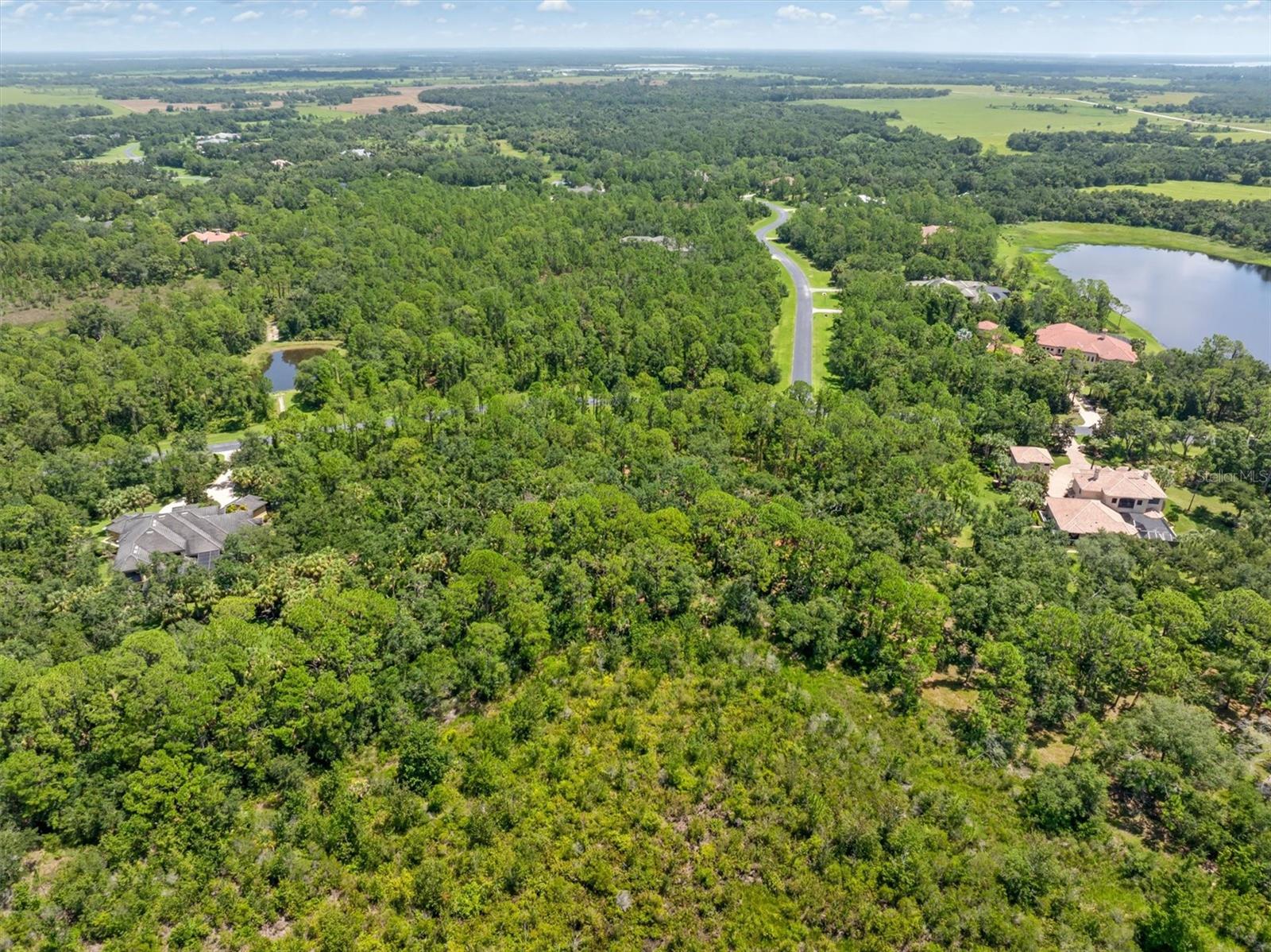 FOREST AT THE HI HAT RANCH - Land