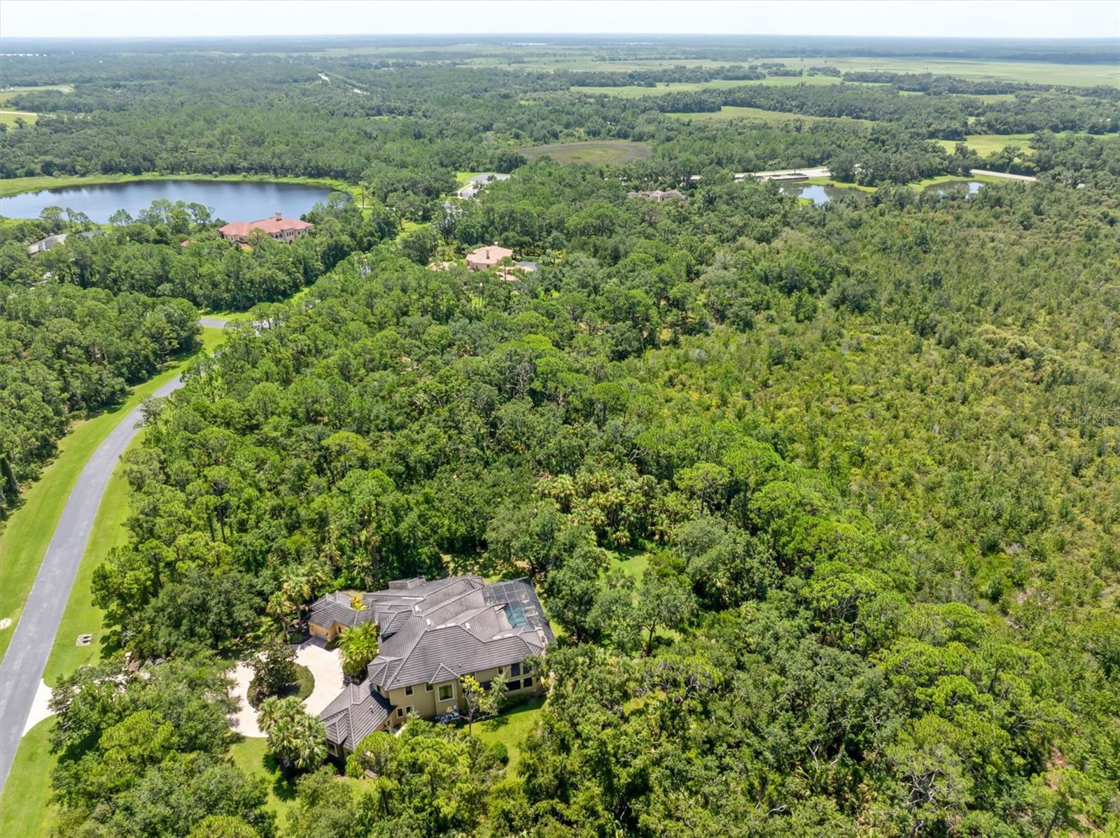 FOREST AT THE HI HAT RANCH - Land