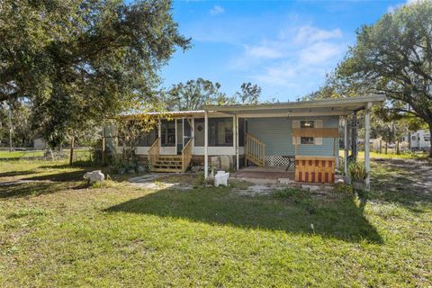 A home in RIVERVIEW