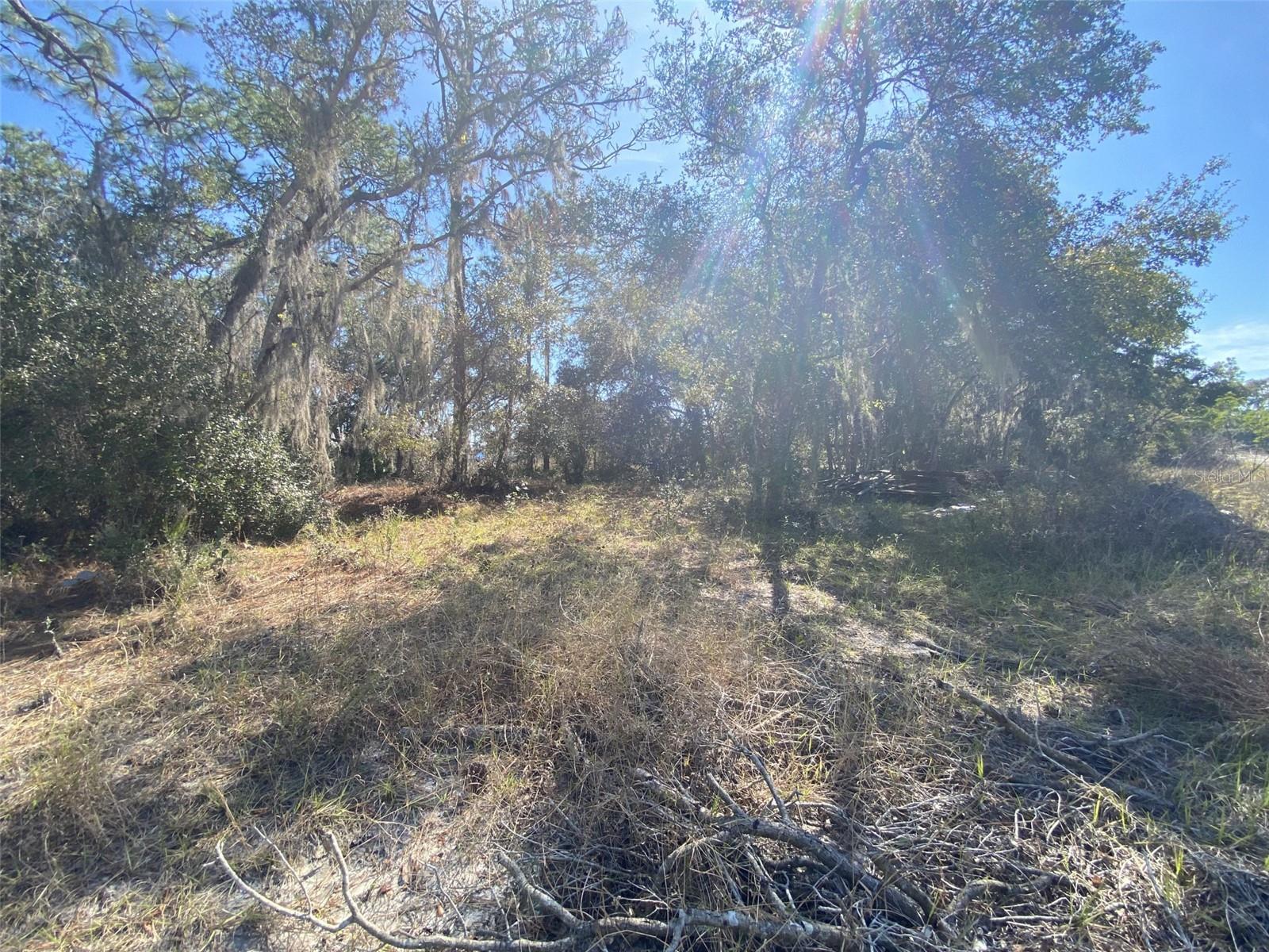 Less than 1.5 miles from the shores of Lake Marion in Poinciana, near Kissimmee, we have a residential lot for sale. You'll be within the Association of Poinciana Villages which boasts amenities like pools, playgrounds, a fitness center, and even amenities like Spectrum TV and Internet. Electricity is supplied by Duke Energy and water is from Toho Water Authority. The location could't get more ideal. Located just south of the Lake Marion Creek Wildlife Management Area, you'll be able to witness the glory of local flora and fauna in its most unadulterated form. There's also access to the local parks and trailheads. You're less than a 90-minute drive from the Mouse House and other theme parks in Orlando. Located smack-dab in the middle of the Florida Panhandle, you'll be able to easily travel across the state. When you're tired of freshwater, you'll have the luxury of being a day trip away from the stunning shores of the Atlantic or the Gulf of Mexico. The property is zoned for single family residences. There's approximately 88 feet of road frontage, the southern border is approximately 132 feet, the eastern border is approximately 75 feet, and the northern border is approximately 110 feet.