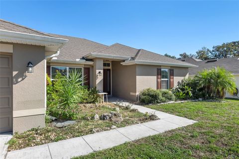 A home in FRUITLAND PARK