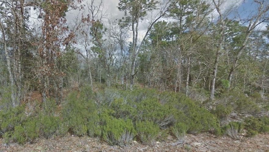 Looking to invest in Land or Build a Home? Come take a look at this .46 acre lot. Located near main roads and highways.