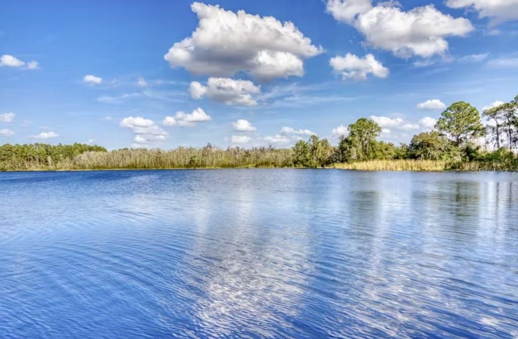 BAHAMA BAY A CONDO - Residential