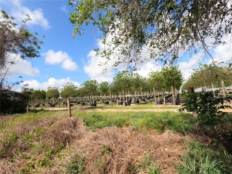 Tiny photo for 0 Earth Star Lane, Groveland, FL 34736 (MLS # G5111483)