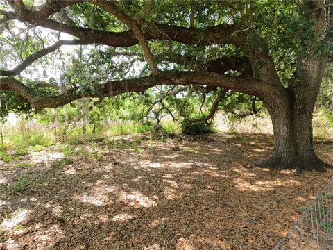 Tiny photo for 0 Earth Star Lane, Groveland, FL 34736 (MLS # G5111483)
