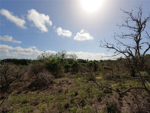 Tiny photo for 0 Earth Star Lane, Groveland, FL 34736 (MLS # G5111483)