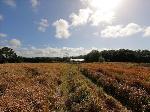 Tiny photo for 0 Earth Star Lane, Groveland, FL 34736 (MLS # G5111483)