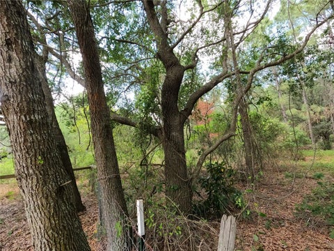 Tiny photo for 0 Earth Star Lane, Groveland, FL 34736 (MLS # G5111483)