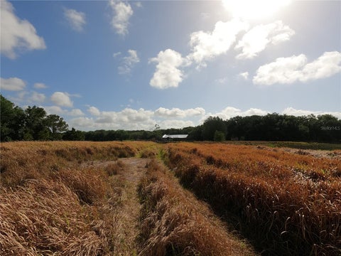 Tiny photo for 0 Earth Star Lane, Groveland, FL 34736 (MLS # G5111483)