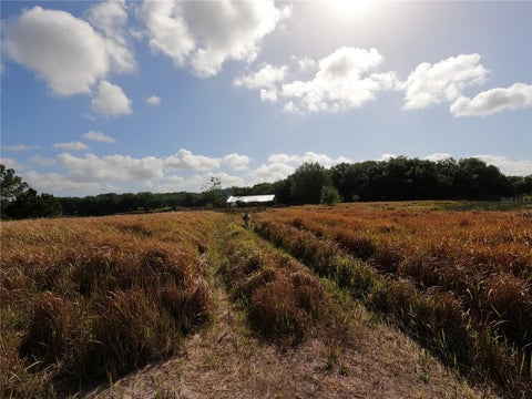 Tiny photo for 0 Earth Star Lane, Groveland, FL 34736 (MLS # G5111483)