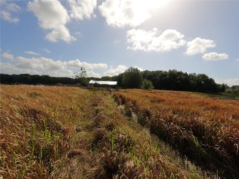 Tiny photo for 0 Earth Star Lane, Groveland, FL 34736 (MLS # G5111483)