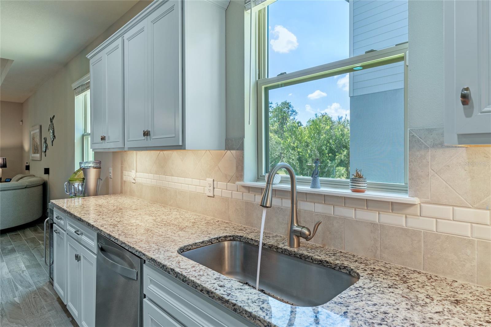 SERENOA VILLAGE 1 PHASE 1B-1 - Residential