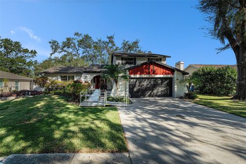 A home in TAMPA